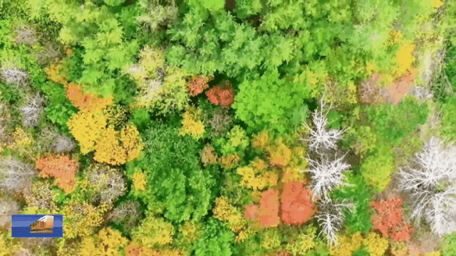 错过等一年！快来鱼台这里赏冬吧