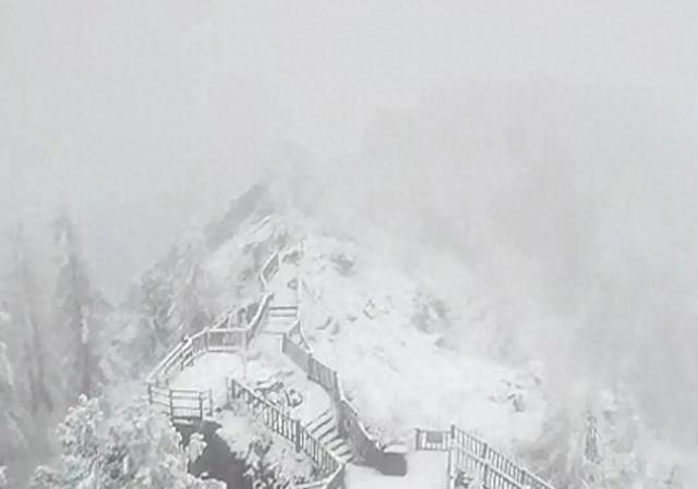 全国多地突然下雪！雪天出行安全指南→