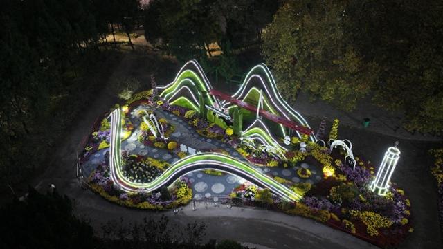 第十五届中国菊展揭晓 重庆斩获21项大奖