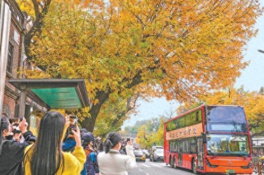 锐评 | 看北京的“秋色经济学”