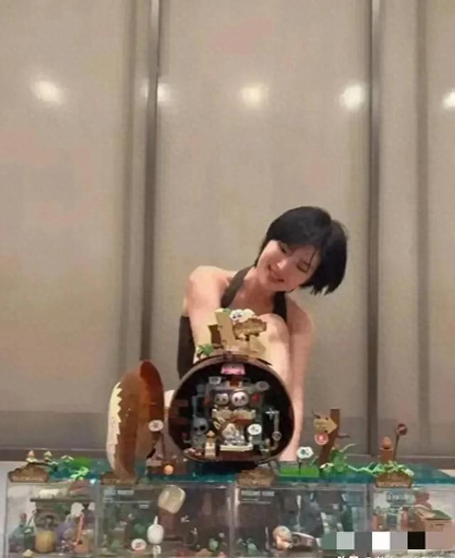 姚安娜晒出泡泡玛特Labubu潮玩 网友惊叹 这应该花不少钱吧 好羡慕她