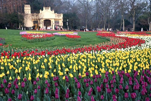 赏花踏青正当时 用一场ColorWalk邂逅浙江春日浪漫