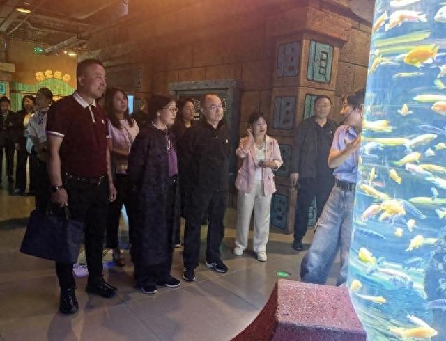 沈阳市人大文旅专业代表小组 赴沈北新区视察文体旅融合发展工作
