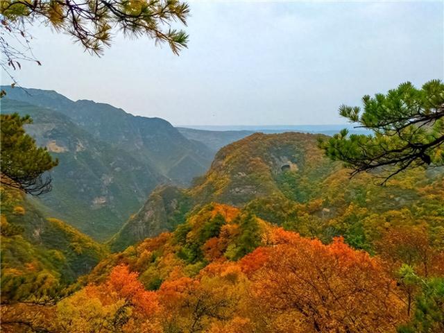 【联动宣传】崆峒山的秋，万山红遍，层林尽染