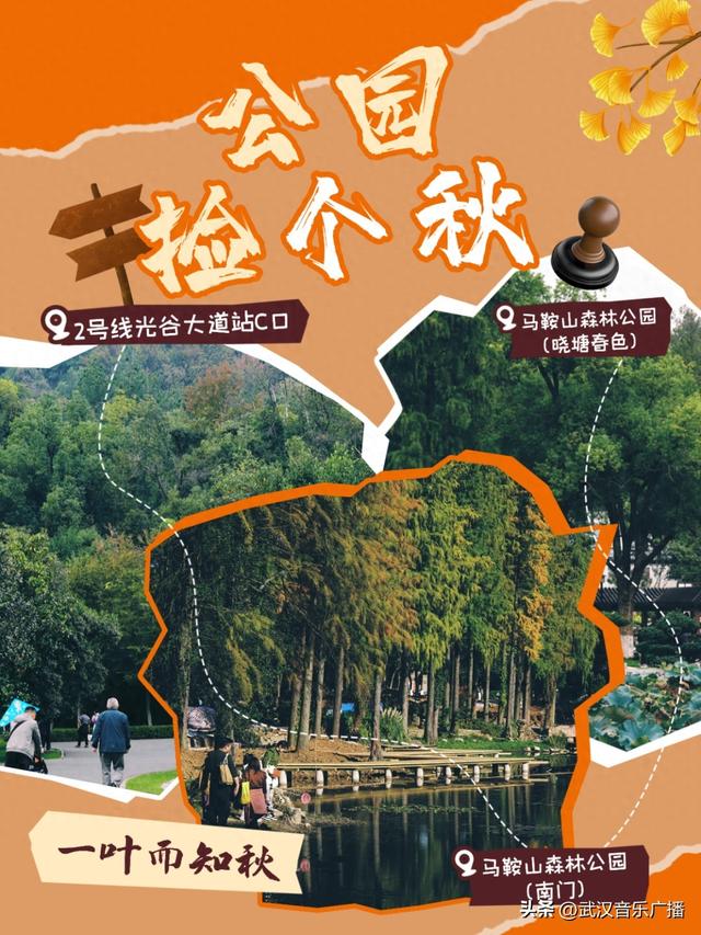 地铁+徒步，秋天的马鞍山公园，太好逛了！