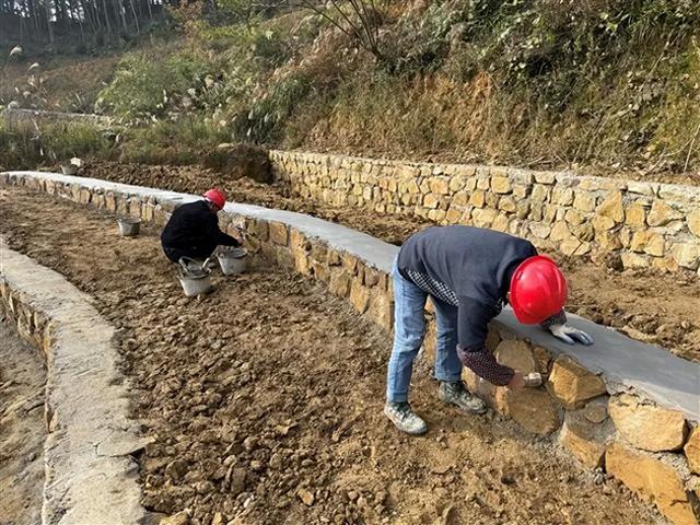 垫江露营基地再＋1！有望明年年初投用！在这里→