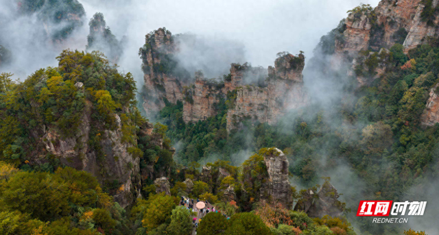 杨家界：峰墙云海织就秘境 地质奇观引游人沉醉