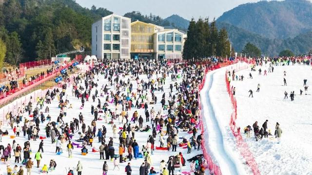 19.39万人次！临安火火火！