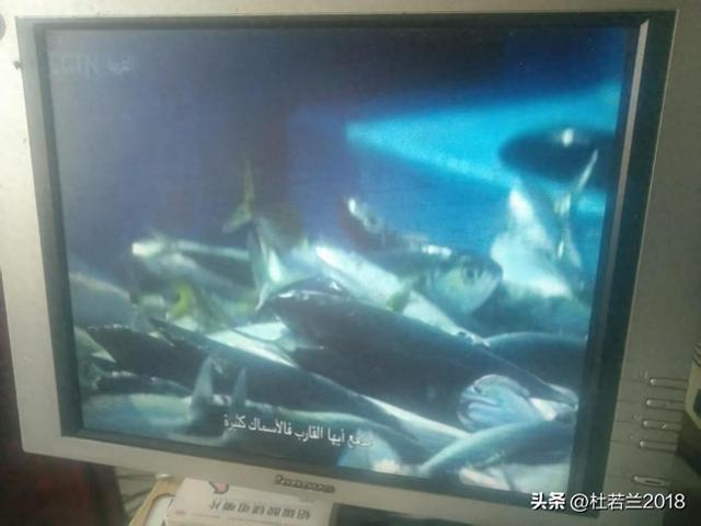 星闻：78.5卫星新增两组信号源开锁播出
