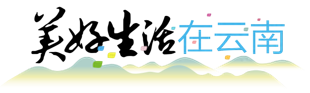 美好生活在云南｜超出片！元阳哈尼梯田最佳观赏期来了