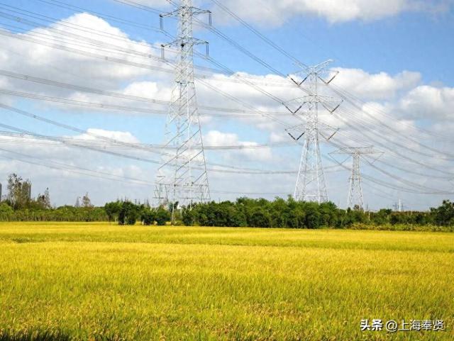 ​​诗游五四村：来一场诗词与金色田园​的浪漫邂逅
