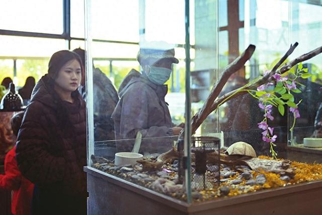 太原植物园室内展厅绿意盎然