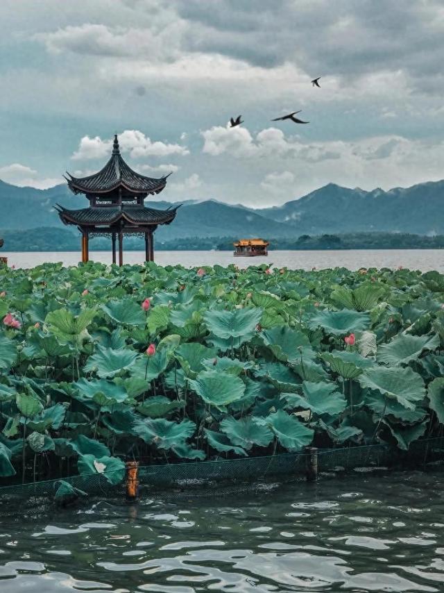 杭州怎么玩？看这一篇就够了，带你体验从“游客”到“市民”