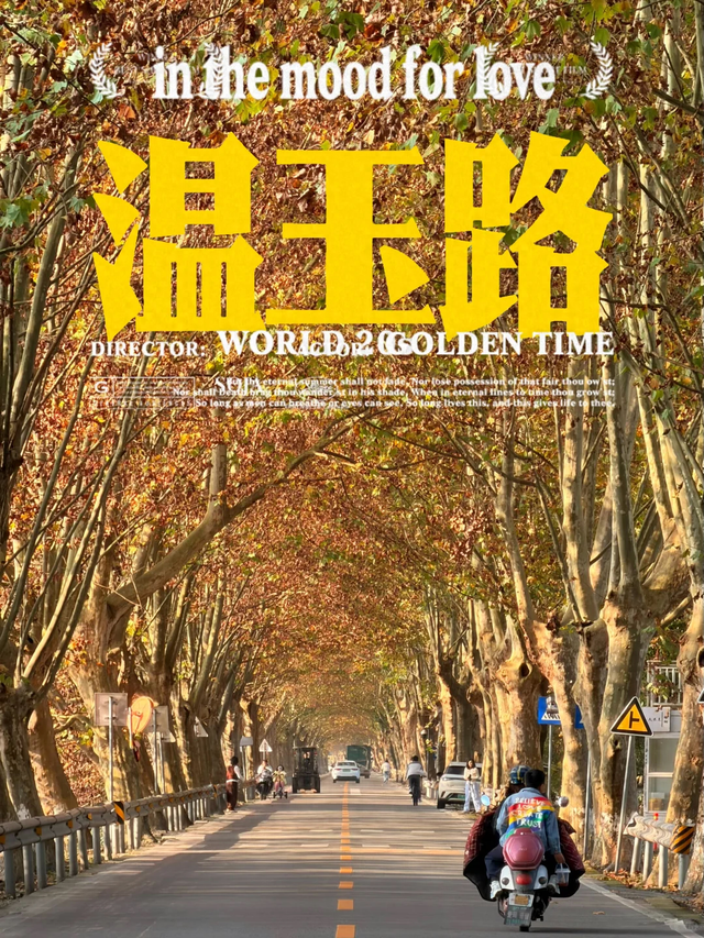 成都最美梧桐大道绵延20公里，地铁19号线直达，快去打卡！