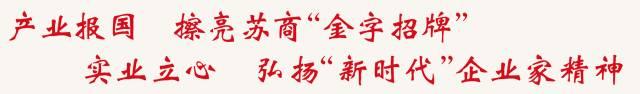 江苏一个县造的船，比日本还多：怎么做到的？