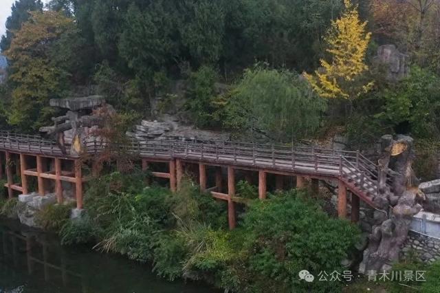 风从三省来！一封来自青木川的时光函→