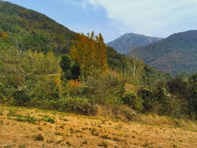 什么叫层林尽染？马谷田镇义和寨东边的堰塘寺告诉您！