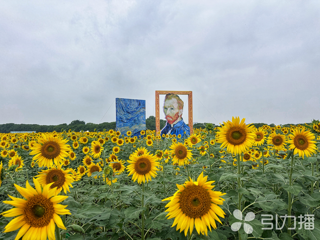 官宣！年底前，泰州人可免费游览相城这些景点