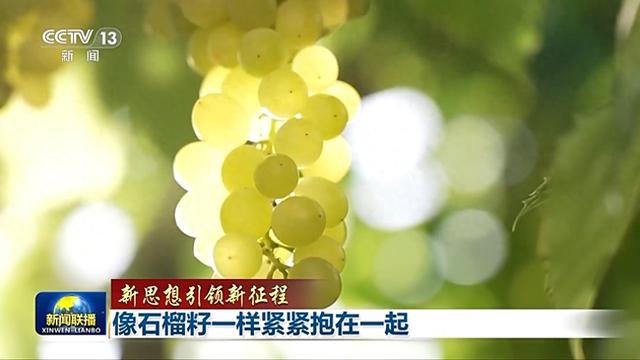 一样造句子一年级级（新思想引领新征程丨像石榴籽一样紧紧抱在一起）