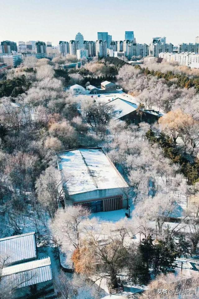 吉镜头｜雪覆红砖 水墨冬韵