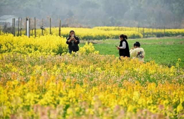 免费！火热！很多无锡人正在赶去