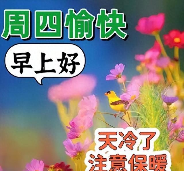 身体健康的祝福语有哪些（今日最新早上好金句）