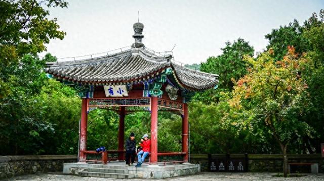 香山红叶“迟到”了？这些新玩法带你玩转红叶节！