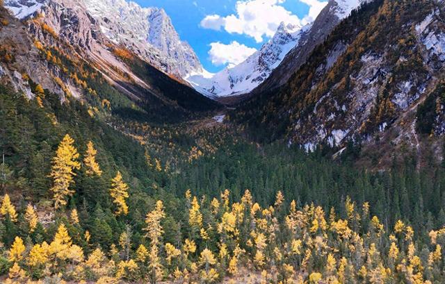 雪山彩林间的自然课堂！绵阳平武“研学游”解锁经济新增量