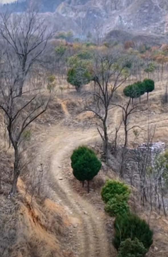 王贵：蒲山丰山白河畔，藏着“西北治愈感+罕见奇景”的网红秘境