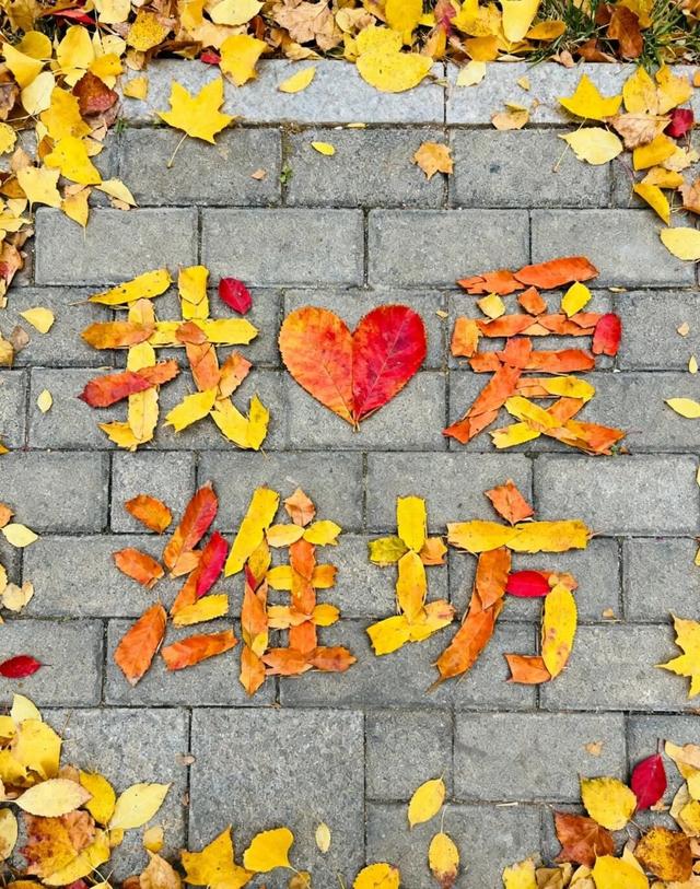 我捡，我捡，我在潍坊捡捡捡！