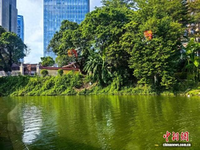 （活力中国调研行）千年荔林水乡的文旅牌“新打法”
