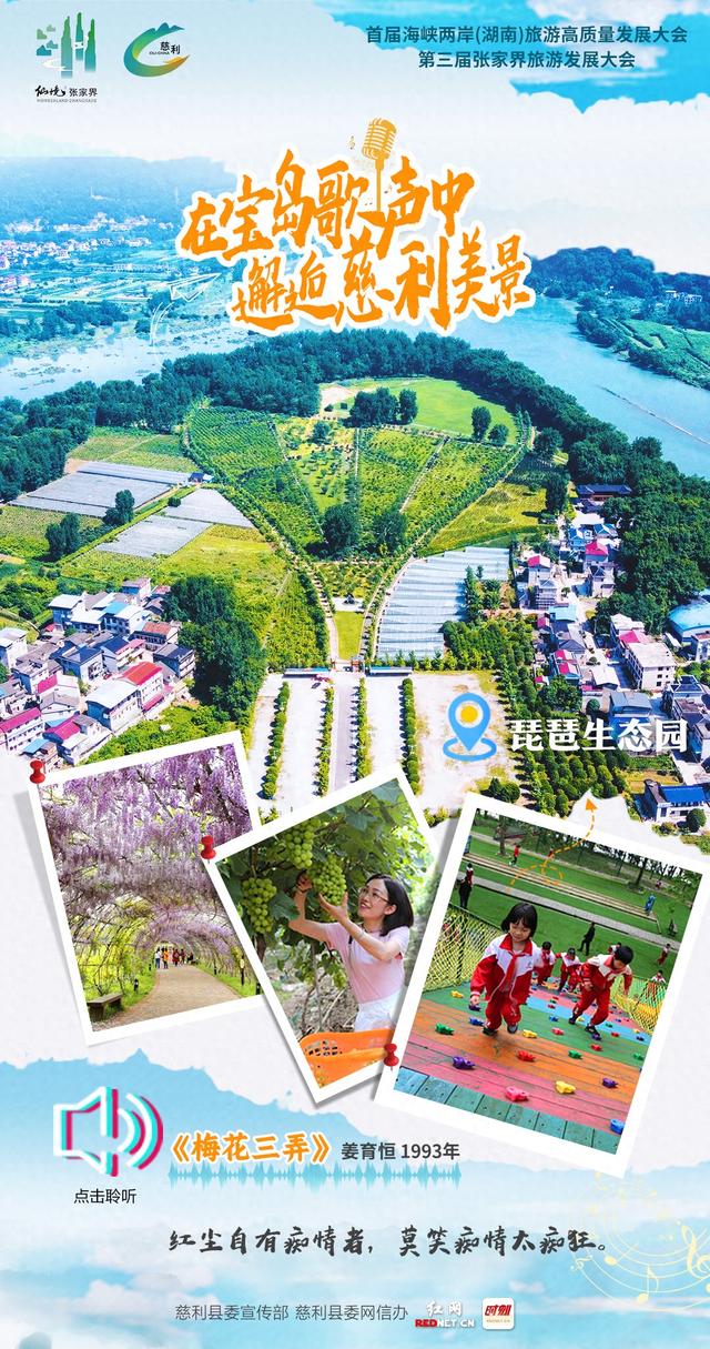 在宝岛歌声中邂逅慈利美景丨琵琶花海的盛宴：梅魂不落琵琶畔