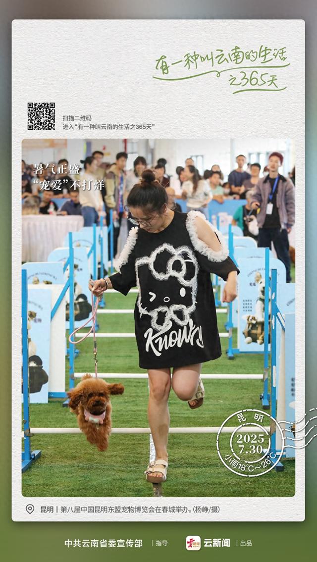 天气不热，展会火热——有一种叫云南的生活之365天