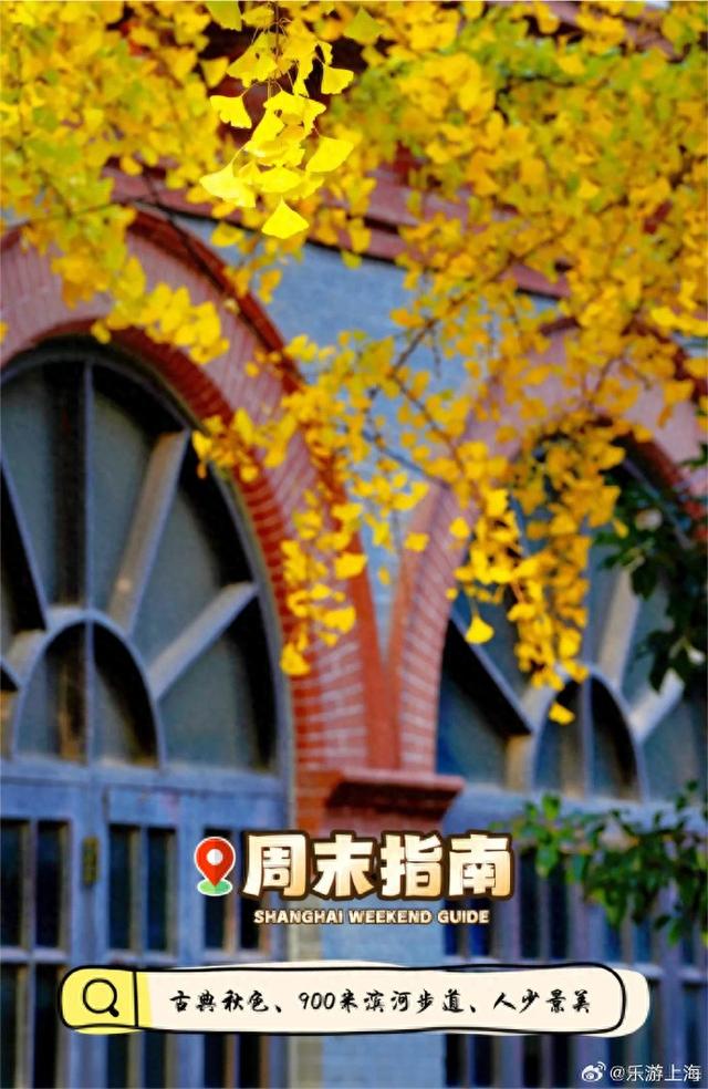 在沪过冬的N种打开方式