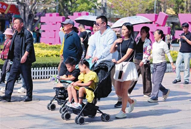 冬日暖阳“醉”游人