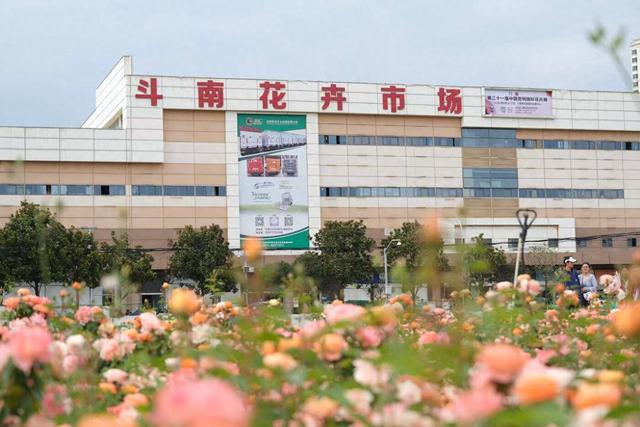 国庆黄金周30余场活动！呈贡推出“春城·花点时间”2025花卉文旅焕新计划