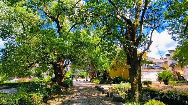 皖浙摩旅二人转——桐庐荻浦村篇