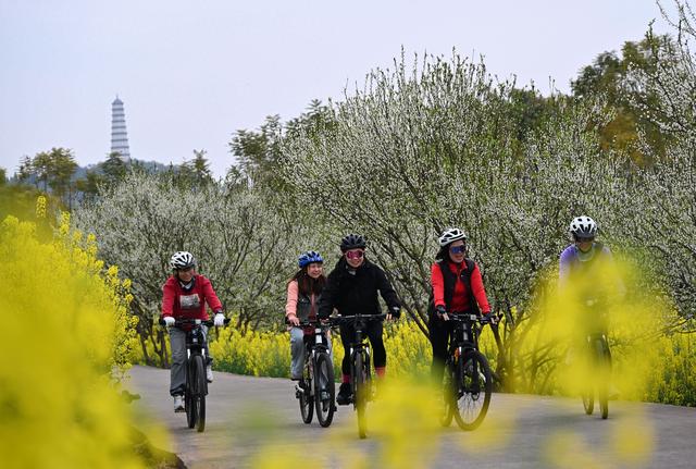 四川内江：初春田园赴花约