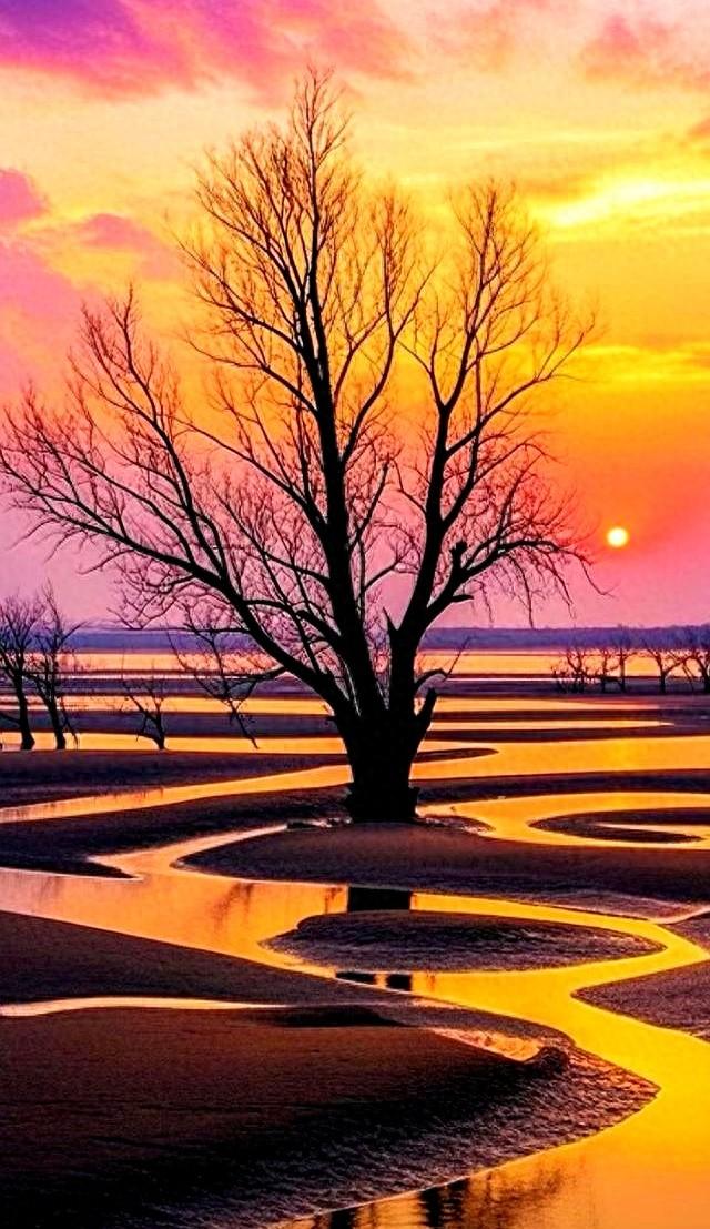 站桩最高心法：不拼蛮力，只练“气贯全身	”的通透感