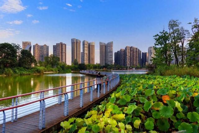 这个夏天，来成都高新玩水啦！