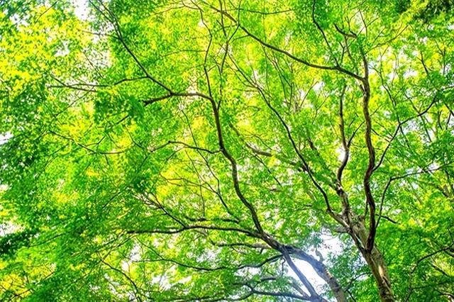 与其为孩子焦虑，不如让他自渡自愈：给父母们的三个掏心提醒