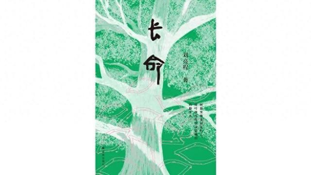 做梦梦到自己被别人打（她带着这片土地上100多年的沉重）
