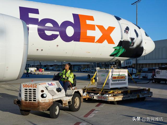 俄、法、德、意、韩、印、日等25国，集体对美国出手！