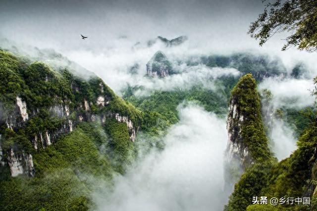 大手笔！渝湘鄂黔四省市联手打造武陵山世界旅游度假区的战略构想