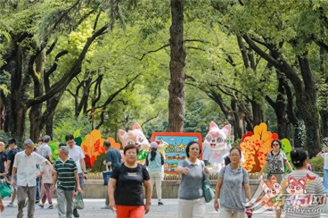 侬好黄金周｜赏花闻香乐享治愈系假期！申城公园寻趣指南