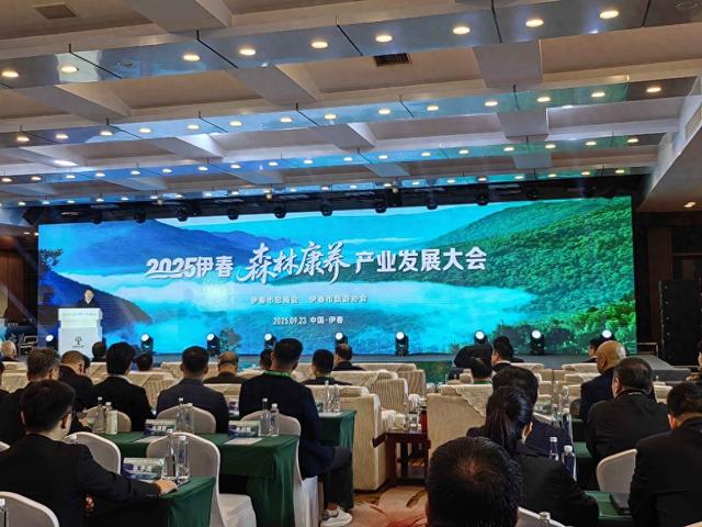 深呼吸+深睡眠+深度游！黑龙江省伊春布局森林康养“深加工”