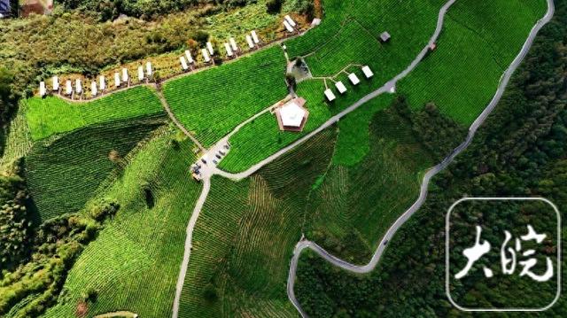 旌德：四好农村路助茶旅融合