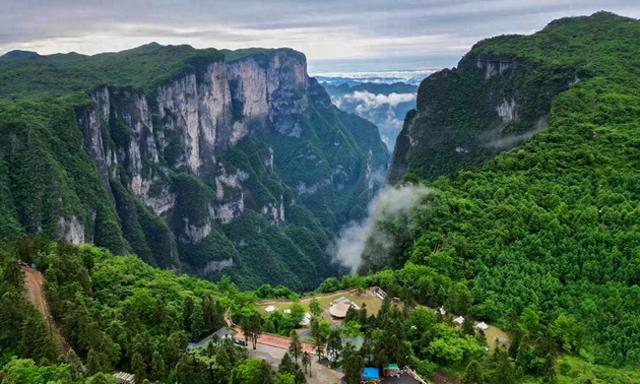 一场摸索于山野、流量与规则之间的“荒野求生”