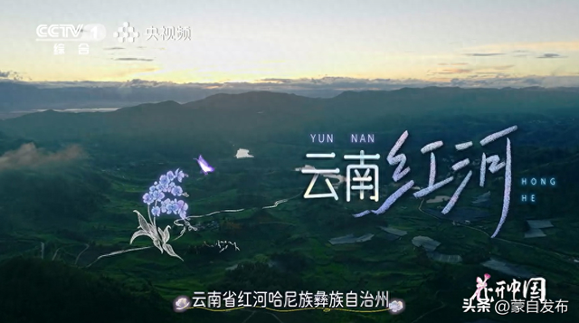 蒙自花开上央视！诚邀晒图，评论区专“宠”鲜花！