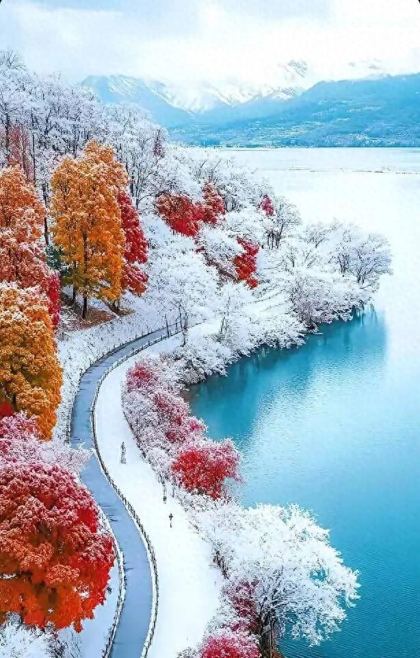 冬日里的仙境，银装素裹，醉人的美！
